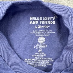 Hello Kitty Shirt Mens Medium Purple Anime Cartoon AOP Double Sided Art Sanrio