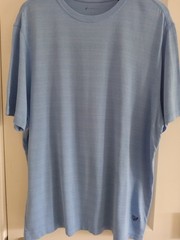 Cremieux Men’s Size L Short Sleeve T-Shirt Crewneck Light Blue