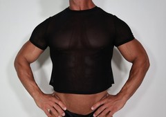 ADULT SHORT SLEEVE CROPPED SHEER SHIRT SIZE M/L