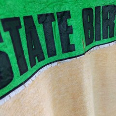 70s Russell Athletic Wisconsin Mosquito State Bird Ringer T-Shirt L Yellow