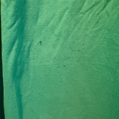 Polo by Ralph Lauren Shirt Mens M Green Short Sleeve Crewneck Tee Distressed