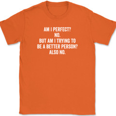 Am I Perfect No T-Shirt Tee Funny Sarcastic Humor Novelty Gift