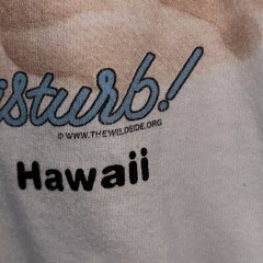 Vintage Cat T-Shirt W’s Large Hawaii 90s Do Not Disturb Wild Side Rare