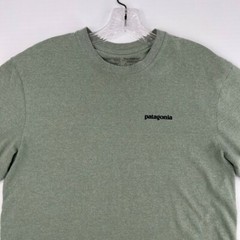 Patagonia Shirt Men Small Bison Responsibili Tee Graphic Work Party Gym Core Ex