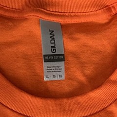 ARC Step Up for the Walk Charity Fundraising Event Orange 2024 T-Shirt S Small
