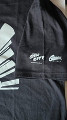 FRANK MILLER’S SIN CITY COMIC GRAPHITTI DESIGNS 2007 SHIRT L HANES