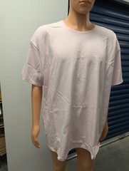 Hanes Authentic-T Men’s T-Shirt 2XL Light Pink 100% Cotton Casual Crew Neck