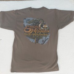 Harley Davidson I Rode The Dragon T Shirt Size Large Gray Smokey Mountain TN 07