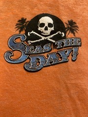 JOE BLOW TEES from SHERPERS “SEAS THE DAY!”, 2XL, TANGERINE, NWT & FREE SHIP