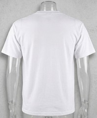 Fox Originals Authentic Sweden Proud Country Graphic T-Shirt