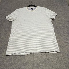 J.Crew Re-Imagined Mens Large Blue White Striped Cotton T-Shirt BG833 FA22