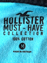 Hollister Must-Have Collection Ombre Tee Shirt Adult Medium Embroidered Logo