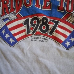 80s LYNYRD SKYNYRD Tribute Tour T Shirt Sz L Made In Usa White Color Cotton