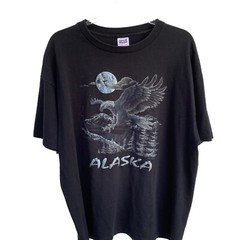 Vintage Alaska Eagle Wilderness Graphic Tee On Anvil Label Single Stitch Sz 2X