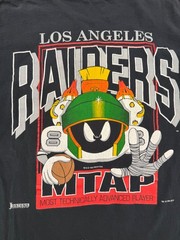 Vintage 1993 Marvin the Martian Los Angeles Raiders Looney Tunes 1-Stitch Shirt
