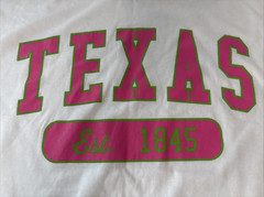 Delta Pro Weight Texas T-shirt Unisex Short Sleeve White Size Large