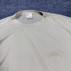 Vintage 90’s SOUTHPOLE Sheer Satin Beige T-Shirt Mens L Baggy Striped