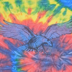 Vintage 2000s Y2K TOP HEAVY Tie Dye Swirl Soaring Eagle Cotton T Shirt Mens L