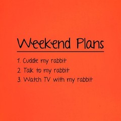 Weekend Plan With My Rabbit – Mens T-Shirt – Love Cute Funny Rabbits Dutch Pet