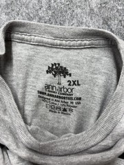 Ann Arbor T-Shirt XXL Men’s Gray Graphic Tee ‘I Paused My Game To Be Here