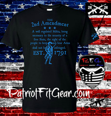 t shirt,The Second Amendment,A Well Regulated Militia,Molon Labe,Guns Rights,2A