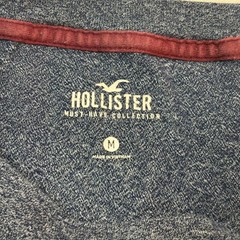 Hollister Must Have Collection Men’s Blue T-shirt Size Med Short Sleeve Logo