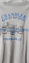 Vintage Harley Davidson T-shirt 2005 Y2K Size L Gray Pinup TIMELESS Chandler AZ
