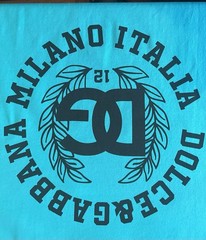 Dolce & Gabbana Men’s Turquoise Graphic Logo Crew Neck Short Sleeve Tee L