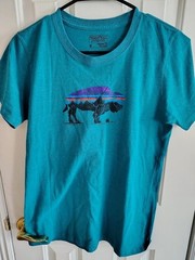 MEN’S PATAGONIA MEDIUM TURQUOISE T-SHIR IN EXCELLENT CONDITION