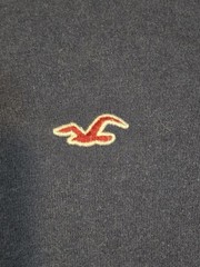Hollister Must Have Collection T Shirt Crew Neck Short Sleeve Navy Blue M Medium