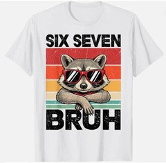Funny 67 Meme 6 7 Six Seven Bruh Raccoon Unisex T-Shirt S-5XL