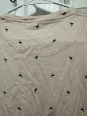 Hollister Must Have Collection Pink T Shirt Small Crew Neck Short Sleeve