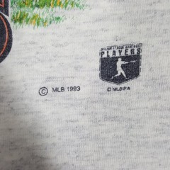 Salem Sportswear T-Shirt Men’s Heather Gray XL San Francisco Giants 1993