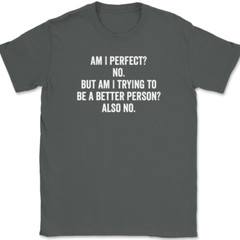 Am I Perfect No T-Shirt Tee Funny Sarcastic Humor Novelty Gift