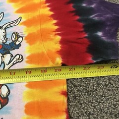 Liquid Blue 2014 Men T Shirt Alice In Wonderland We’re All Mad Here Tie Dye Sz M