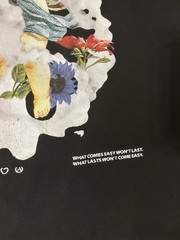 Almost Someday T Shirt Men’s 2XL Butterfly Moth Cherub Angel Floral Graphic