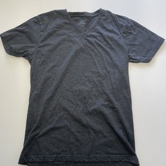 Fresh Clean Tees Men’s Medium Lot Of Two V Neck
