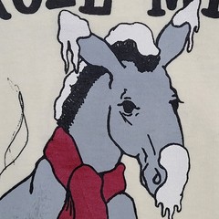 Vintage 1989 Funny Donkey Shirt Large 21×28 New-Hampshire