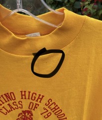 Vintage 1979 Cupertino High School Pioneers Class Of 79 T Shirt 70s 1970s Size M