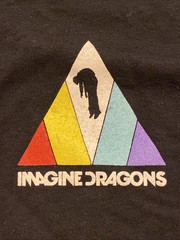 Imagine Dragons EVOLVE Tour 2018 Concert Shirt Women’s Small – Concert Tour Date