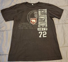 Lot of 10 Men’s Size M Random Various Brands T-shirts
