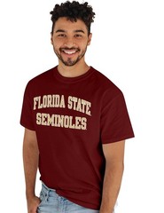 Blue 84 Mens Florida State Seminoles T-Shirt Arched Team Color Team Color Large