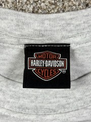 Harley-Davidson T-Shirt 105th Anniversary Men’s Size Large Gray Wisconsin