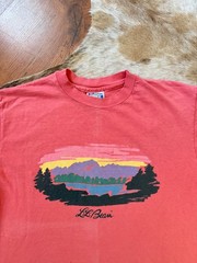 RARE LL BEAN vintage 1980s graphic tee hanes beefy tee single stitch size L