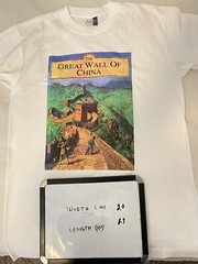 The Great Wall Of China tshirt
