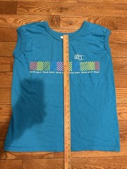 Vintage Velva Sheen URI T Shirt Mens XL Blue Rainbow Checkerboard Rhode Island
