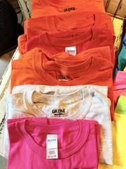 Bulk Lot Of 12 Gilden Colored Adult T Shirts Assorted Sizes Blanks HTV Cricut