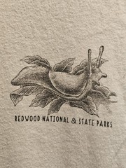 Redwood National Park Wild Tribute Shirt Slug Tree Short Sleeve Outdoor Uni Sm