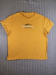 Aeropostale Men’s Large Yellow Graphic T-Shirt Original Brand Mountain Crew Neck