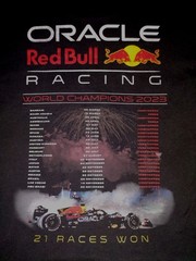 Hollister x Oracle Small Red Bull Racing Heavyweight Boxy Fit Graphic T-Shirt
